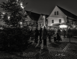 Lichterglanz-&amp;-Budenzauber-Weihnachtsmarkt in Radebeul-Altkötzschenbroda-Weihnachtsbaum