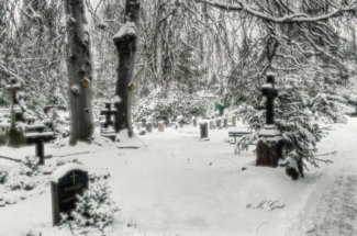 johannesfriedhof-meißen-cölln-winter