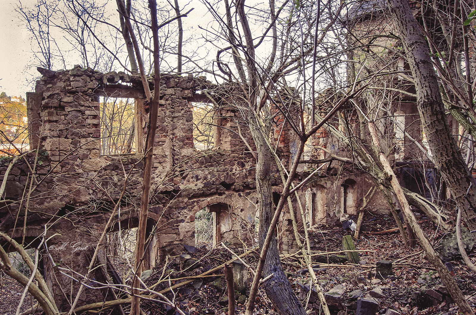 Vergessene Orte: Die geheimnisvolle Ruine im Meißener Triebischtal