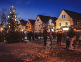weihnachtsmarkt-kötzschenbroda-weihnachtsbaum