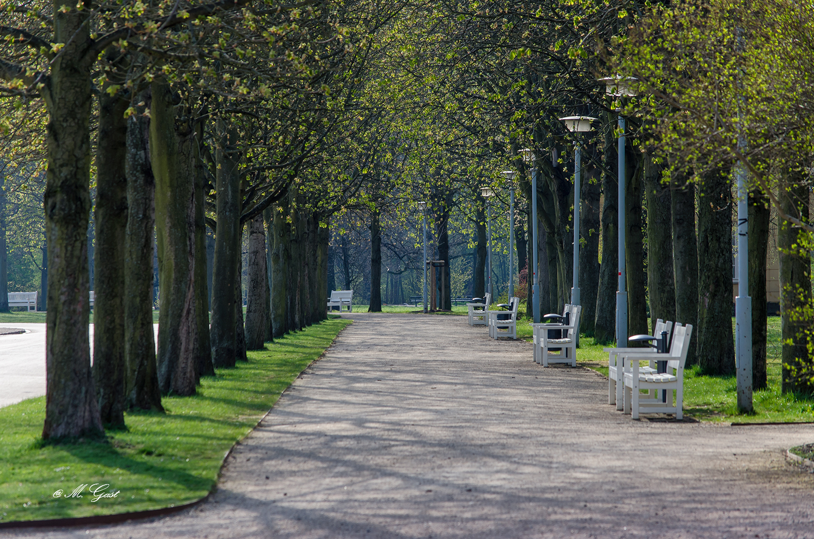 Fruhlingserwachen Im Grossen Garten Dresden Mystik Moments