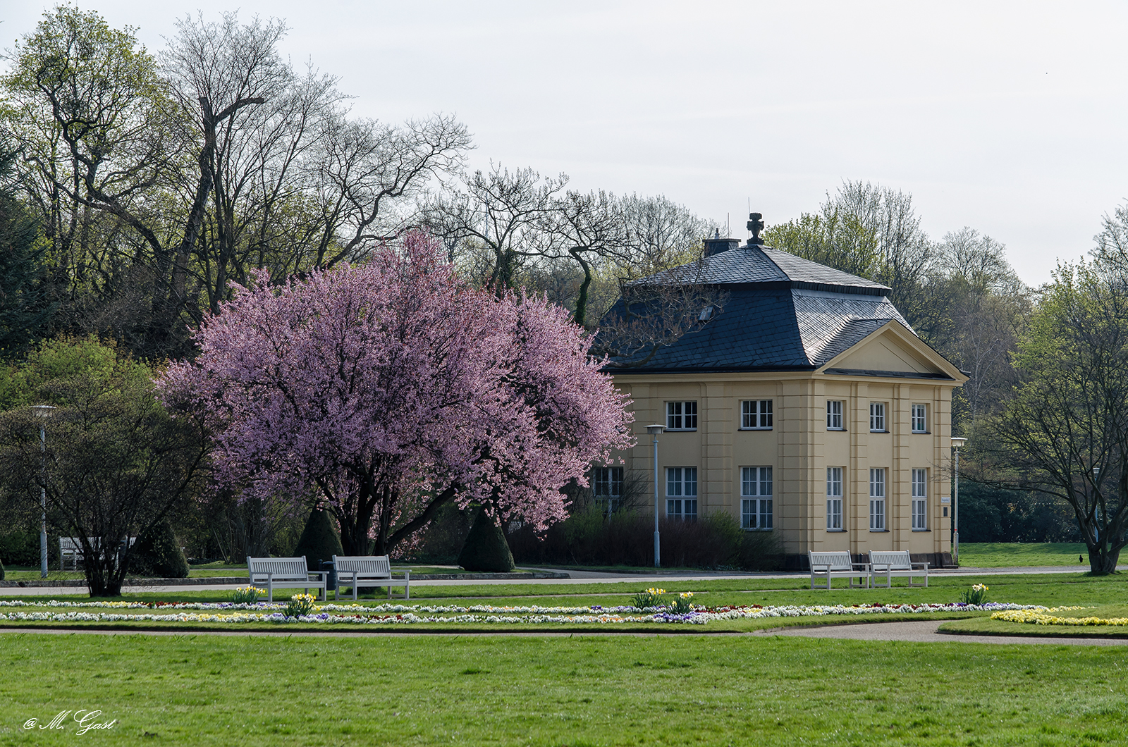 Fruhlingserwachen Im Grossen Garten Dresden Mystik Moments