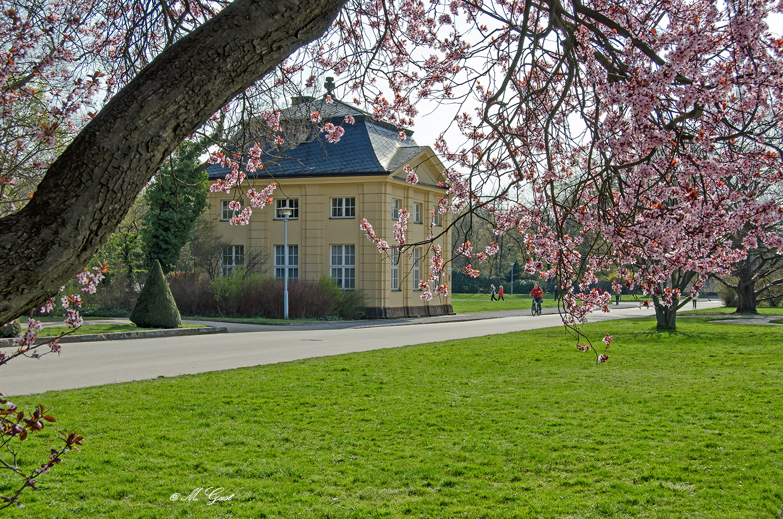 Frühlingserwachen im Großen Garten Dresden Mystik