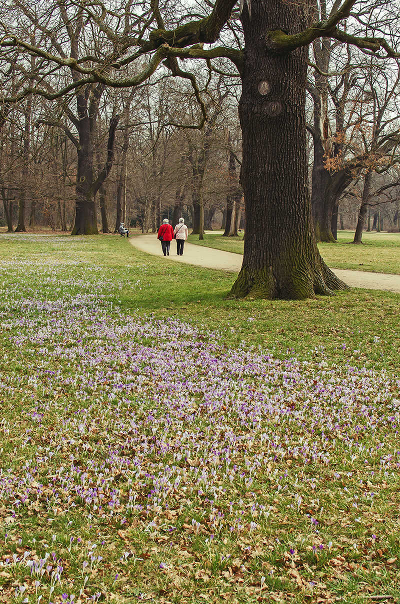 Fruhlingserwachen Im Grossen Garten Dresden Mystik Moments