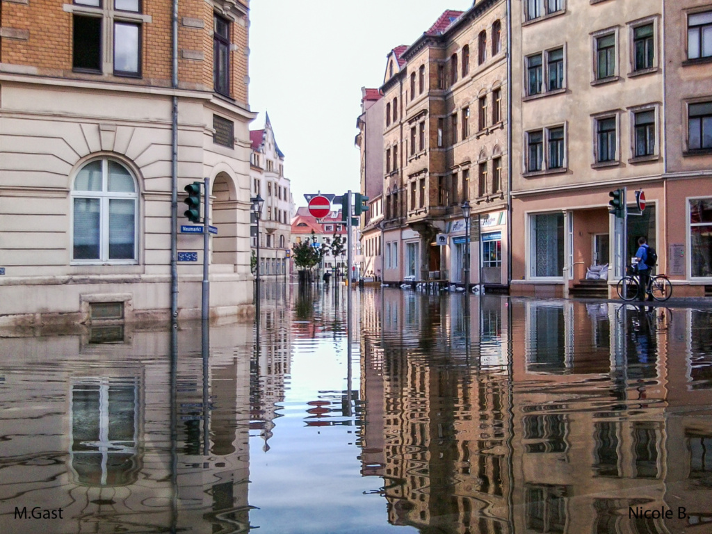 Hochwasser in Meißen: Hahnemannsplatz 2013