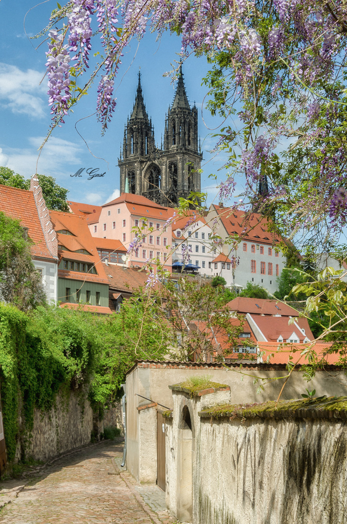 Postkarte - Blick aus der Leinewebergasse zum Meißner Dom