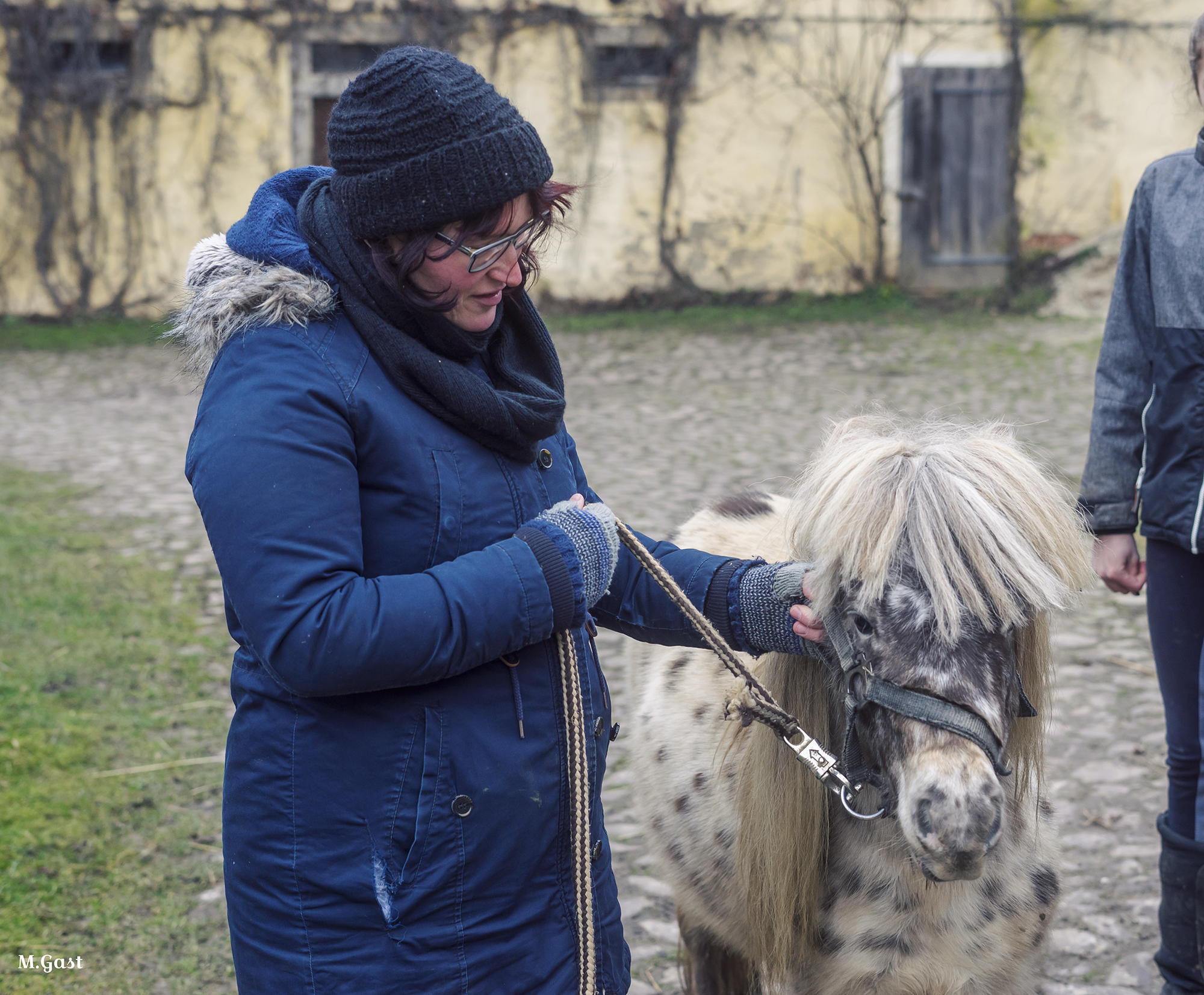 Geschichten vom Luminohof – Nicoles 1. Pferdekurs
