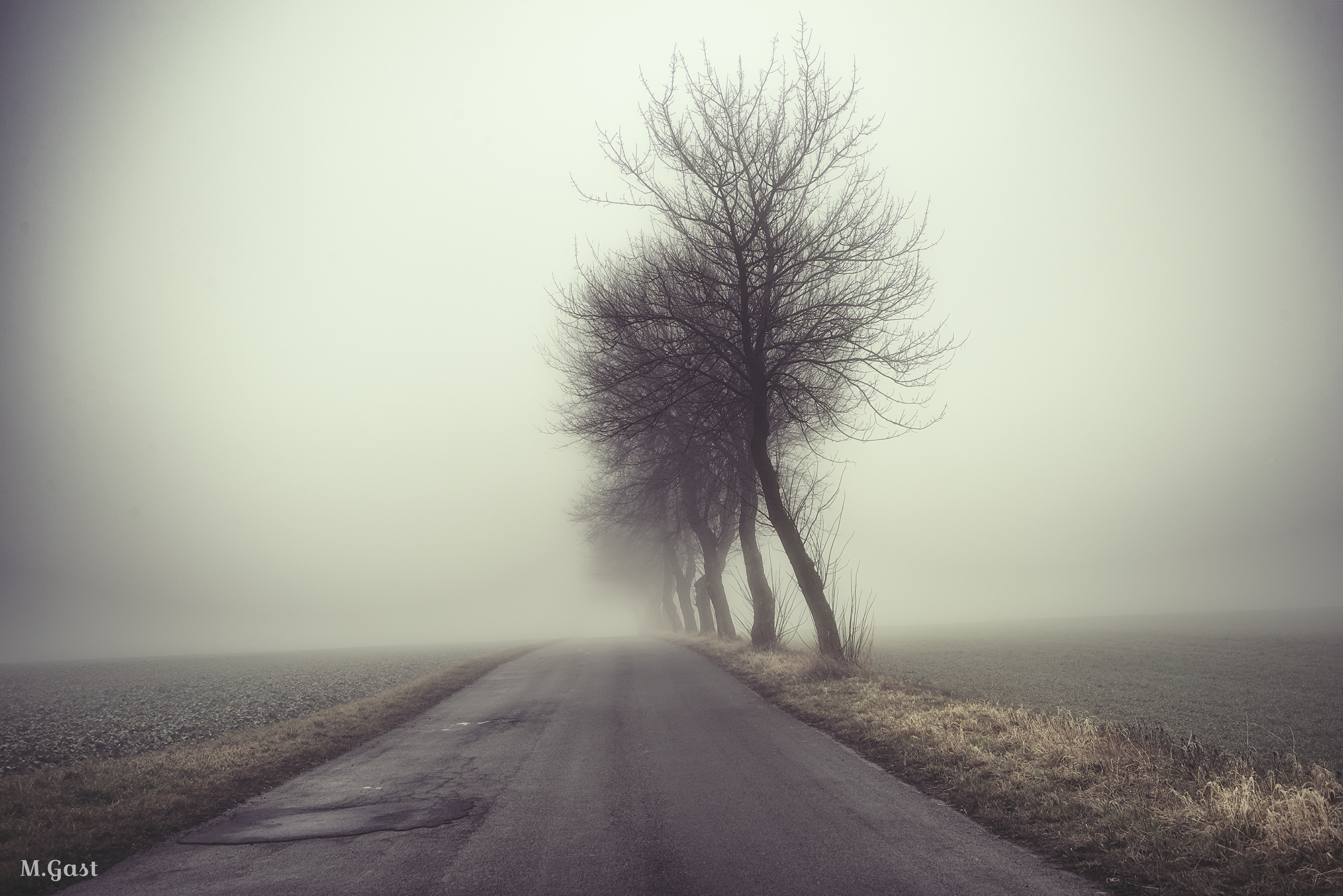 Geschichten vom Luminohof – Der Nebel und die Einsamkeit