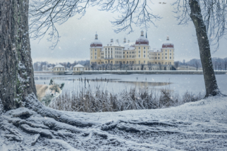 moritzburg-fuchs