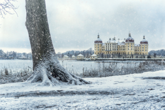 moritzburg im winter