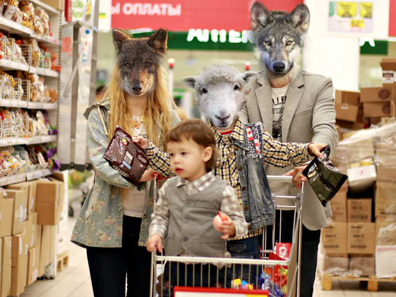 Endlich! Wölfe integrieren sich und kaufen ordnungsgemäß im Supermarkt ein.