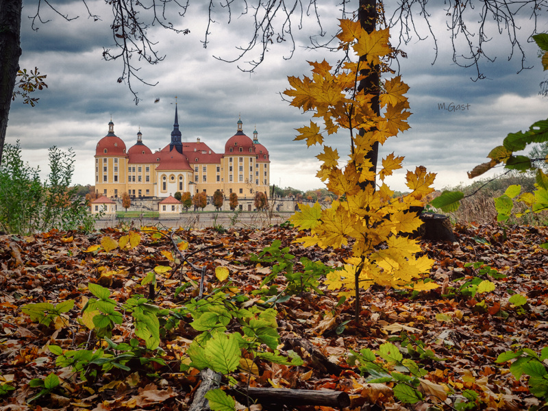 Wo ist der Herbst in Sachsen am schönsten – Herbst in Moritzburg