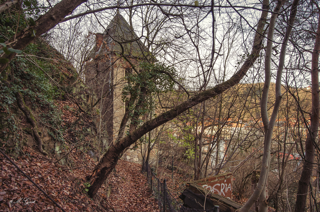 ruine-triebischtal-3