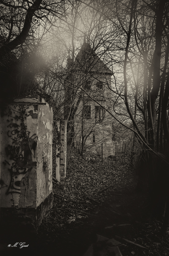 ruine-triebischtal-4