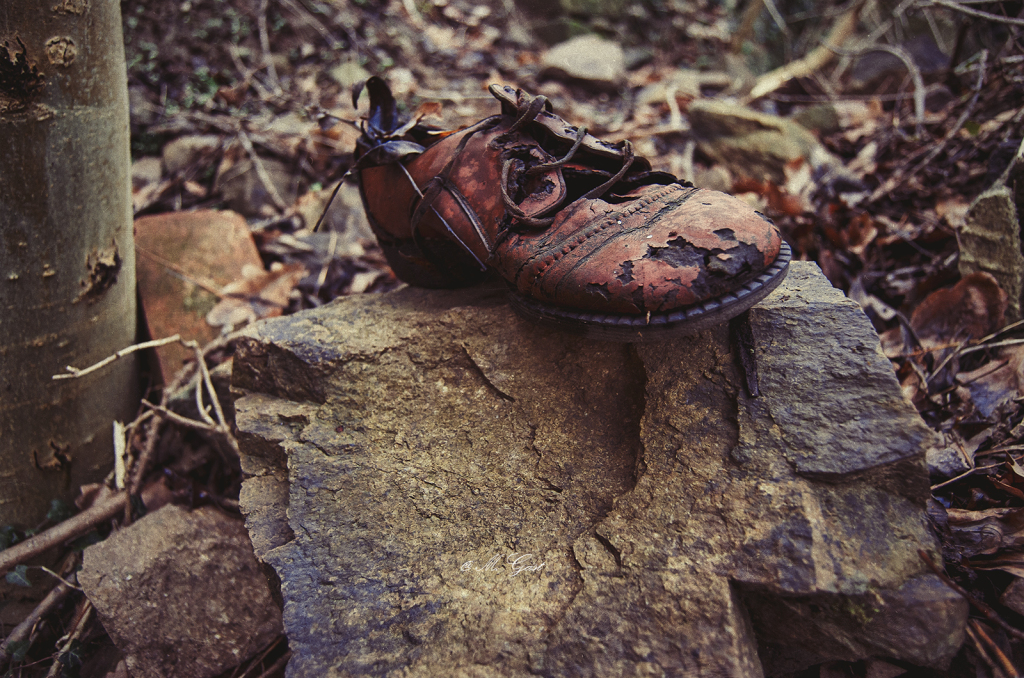 ruine-triebischtal-schuh