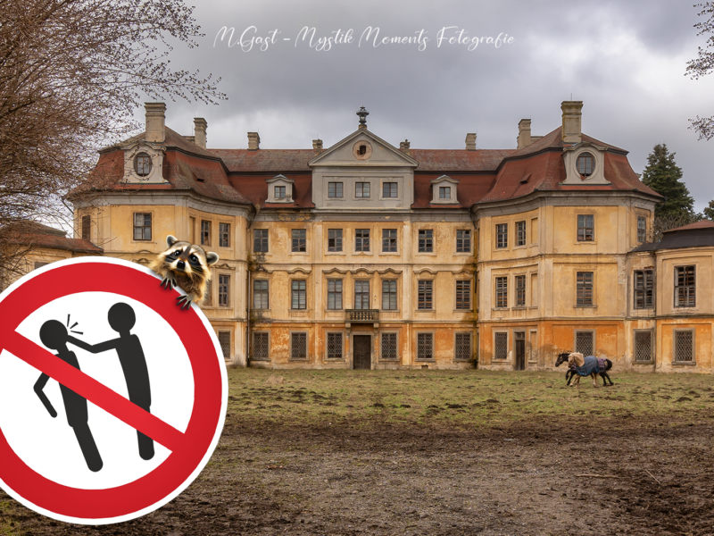 Prügel im verlassenen Schloss – Lost Placer fürchtet um sein Leben