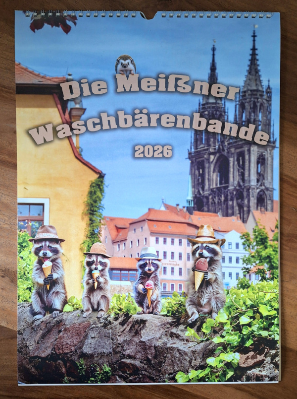 Wandkalender - Die Meißner Waschbärenbande 2026