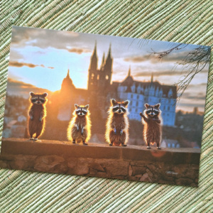 Postkarte - Die Meißner Waschbärenbande