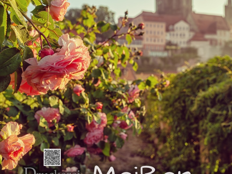 Mystik Moments Meißen Wandkalender 2027
